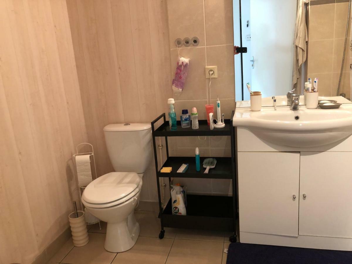Appartement Au Milieu Des Lacs, Au Bord Du Guiers Aoste Ngoại thất bức ảnh